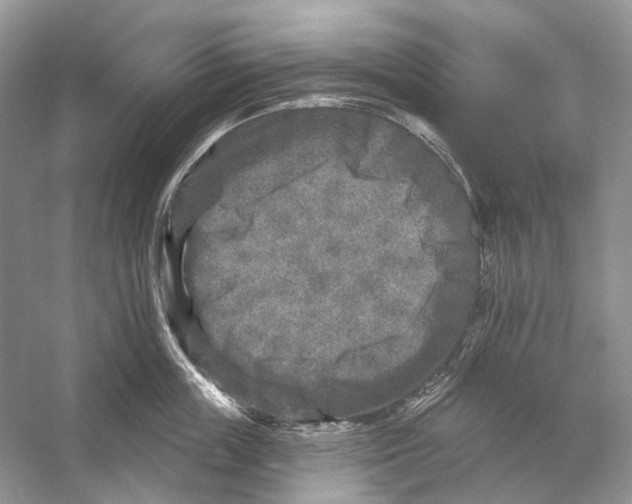 X0000053120859200508081250