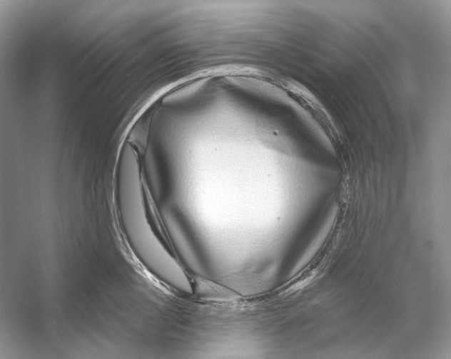 X0000053120860200508081250