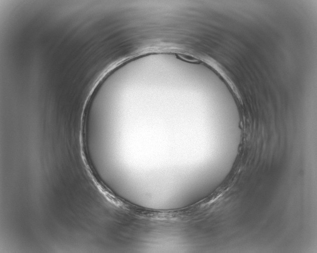 X0000053120861200508081250