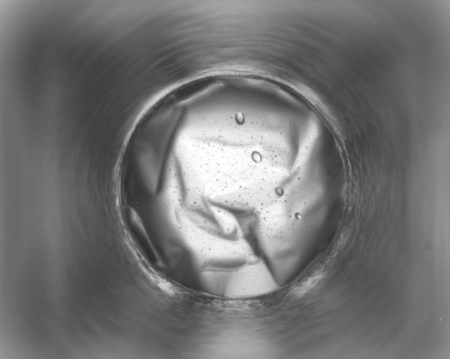 X0000053120862200508081250