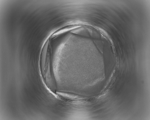 X0000053120863200508081250