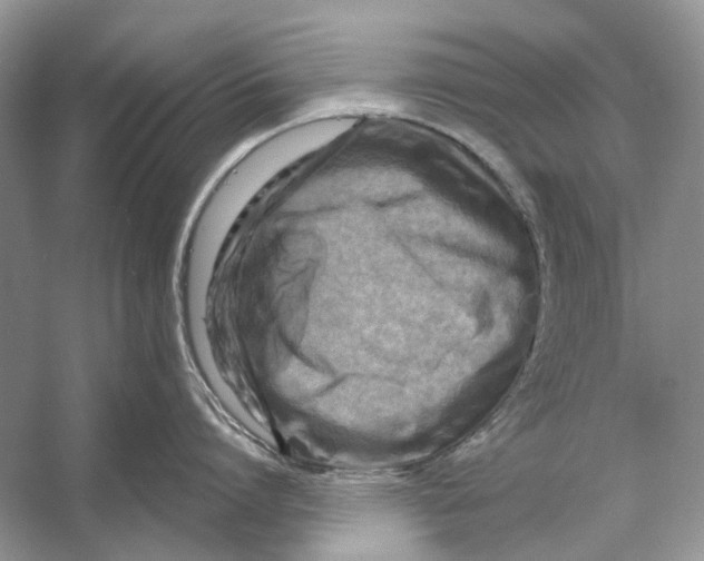 X0000053120864200508081250