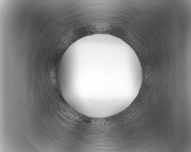 X0000053120866200508081249