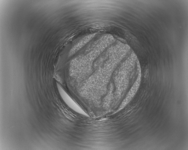 X0000053120868200508081249