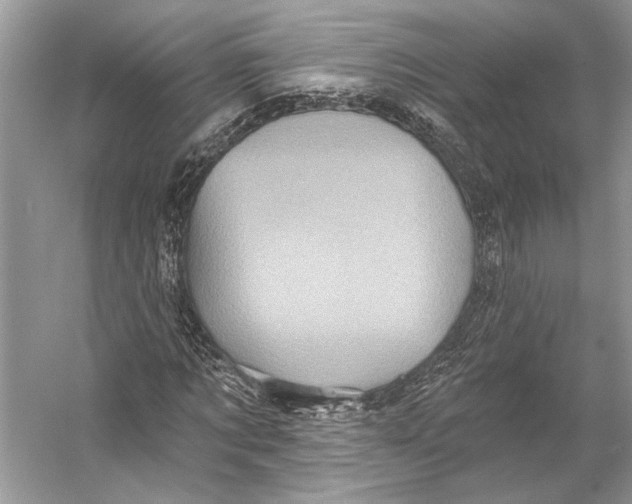 X0000053120869200508081249