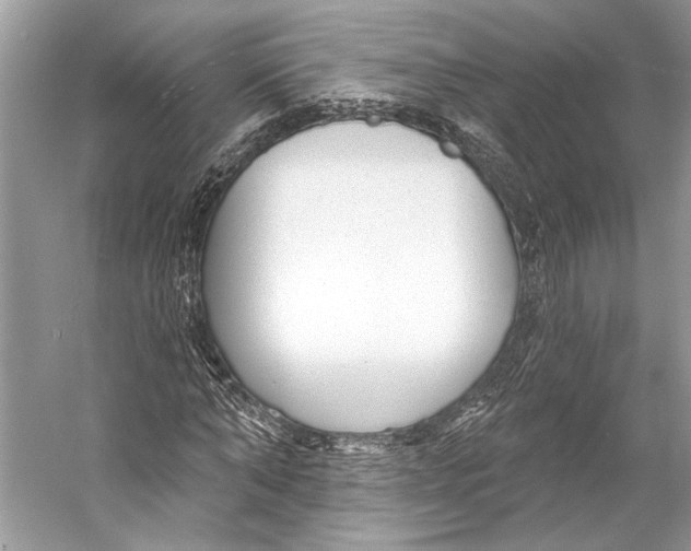 X0000053120870200508081249