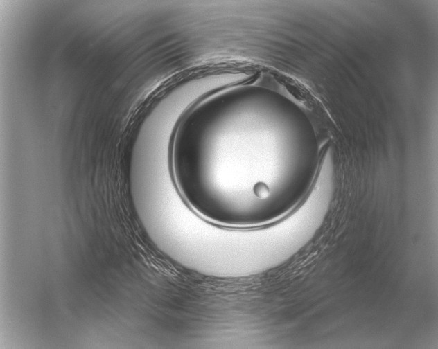 X0000053120871200508081249