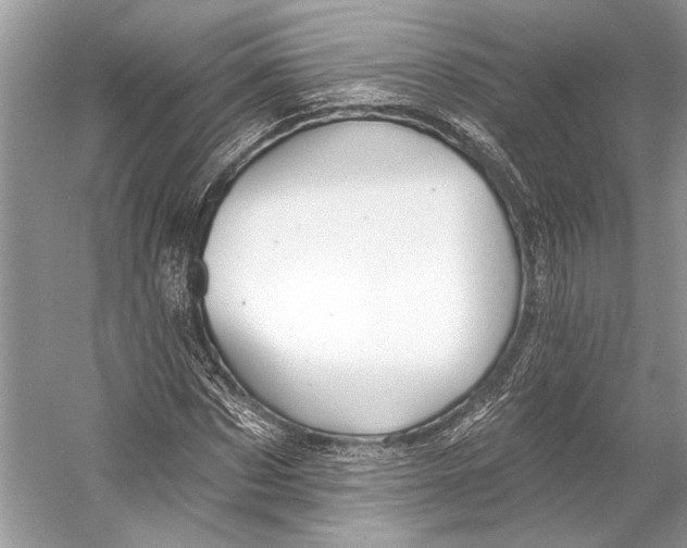 X0000053120873200508081249