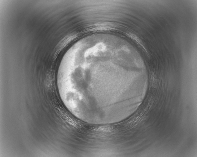 X0000053120874200508081249