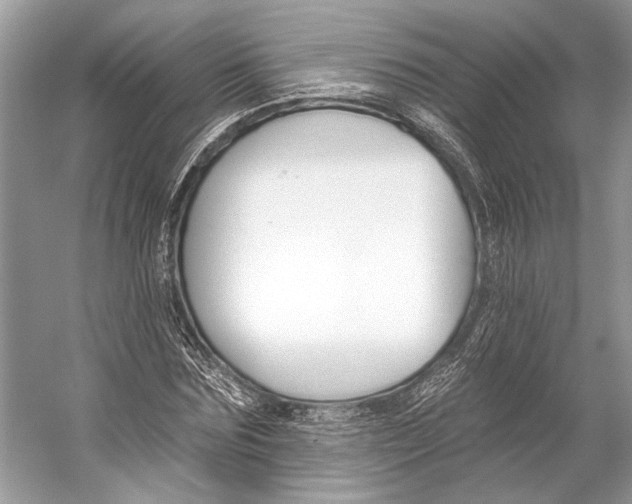 X0000053120875200508081249