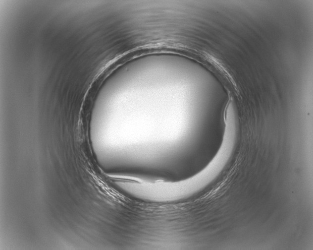 X0000053120876200508081249