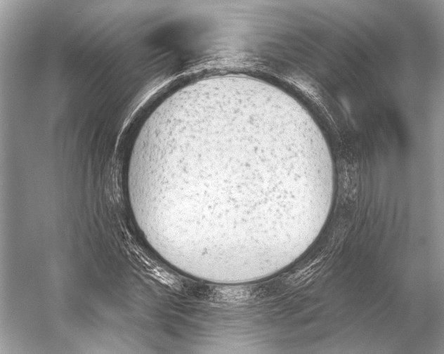 X0000053120878200508081249