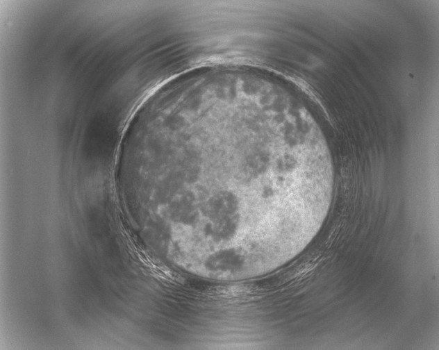 X0000053120879200508081249