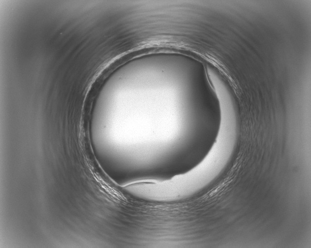 X0000053120880200508081249