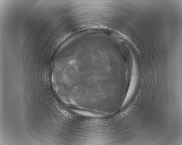 X0000053120881200508081249