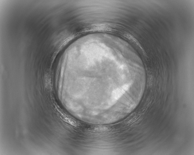 X0000053120882200508081249