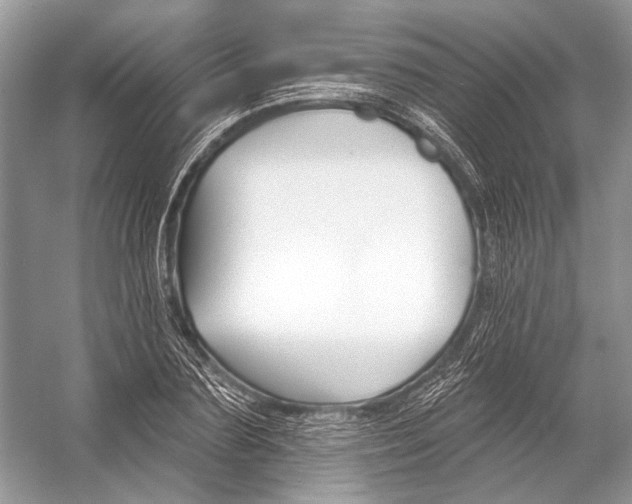 X0000053120883200508081249