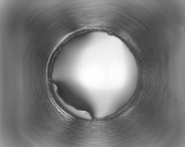 X0000053120884200508081249