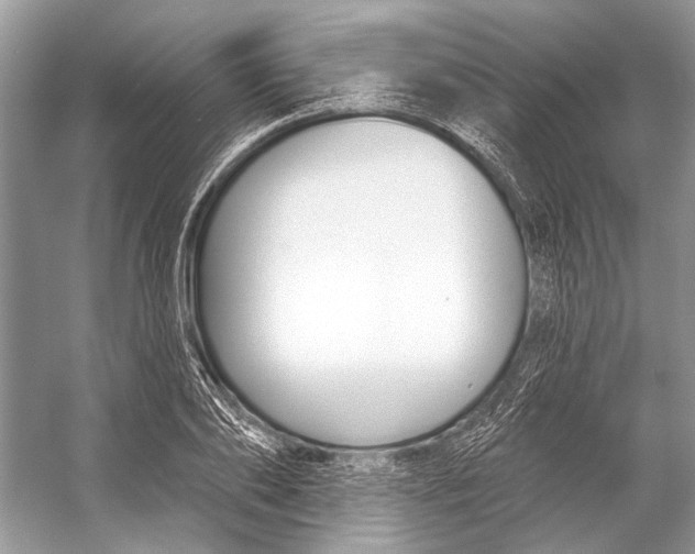 X0000053120886200508081249