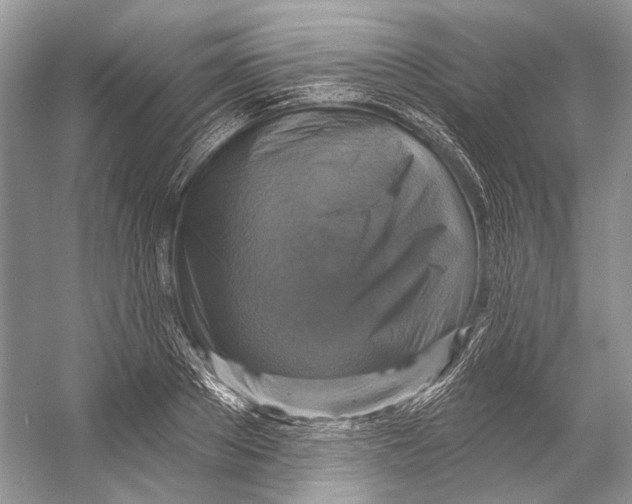 X0000053120889200508081249