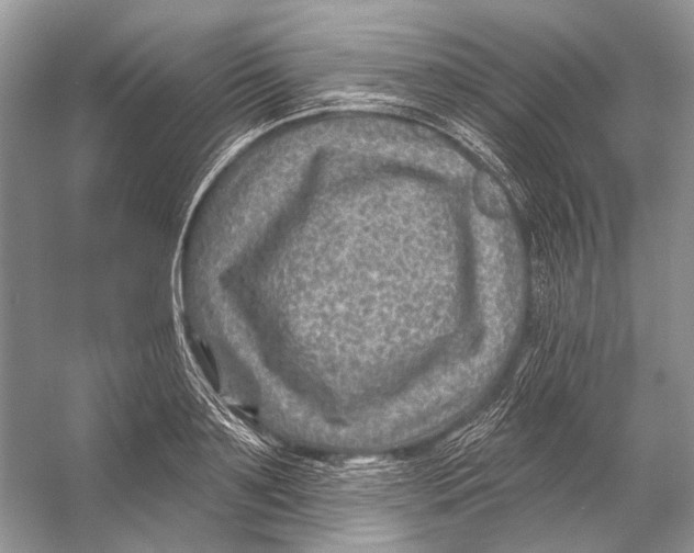 X0000053120891200508081249