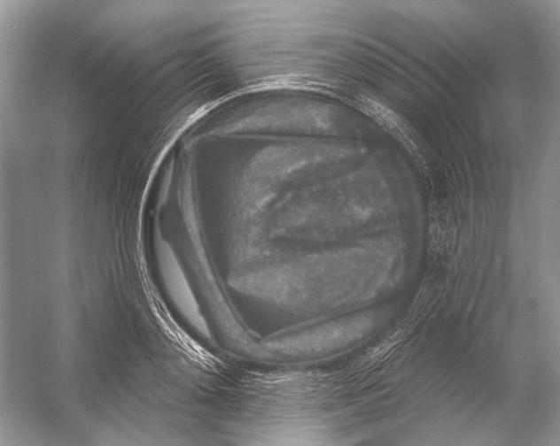 X0000053120892200508081249