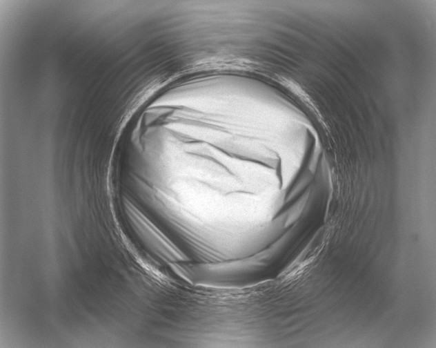 X0000053120893200508081249