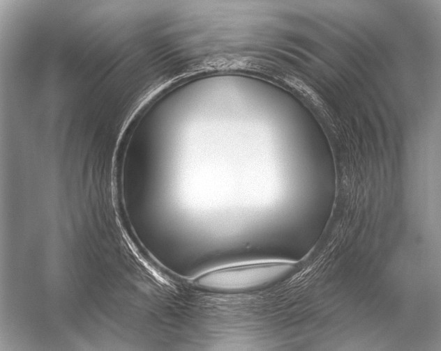 X0000053120894200508081248