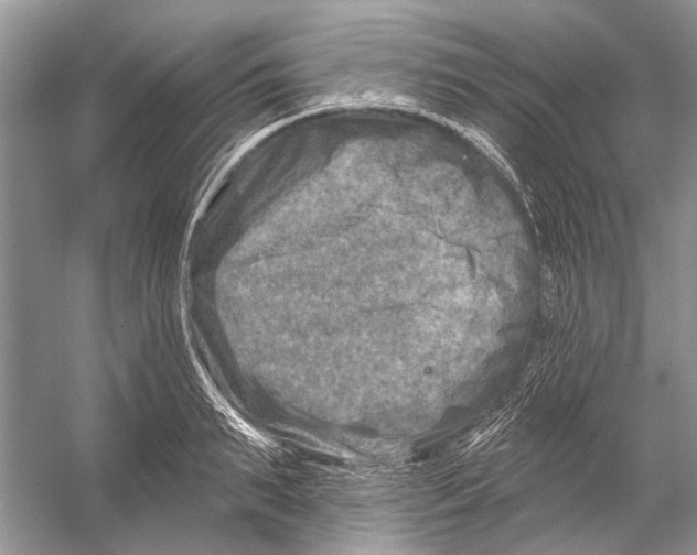 X0000053120895200508081248