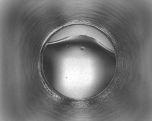 X0000053120896200508081248