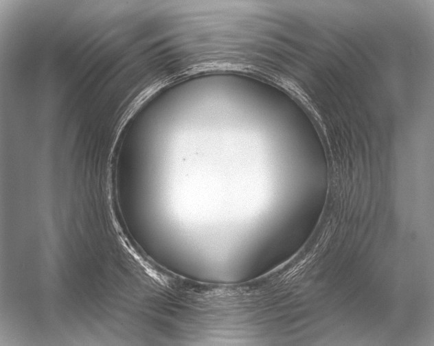 X0000053120898200508081248