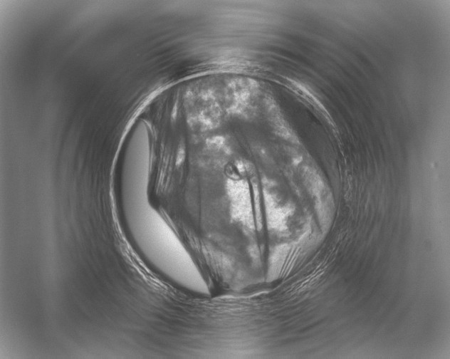 X0000053120899200508081248