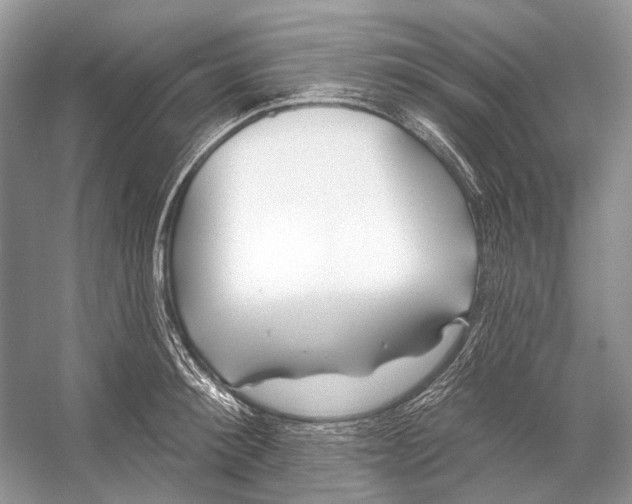 X0000053120900200508081248