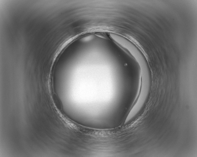 X0000053120901200508081248