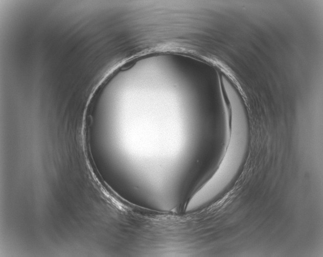 X0000053120902200508081248