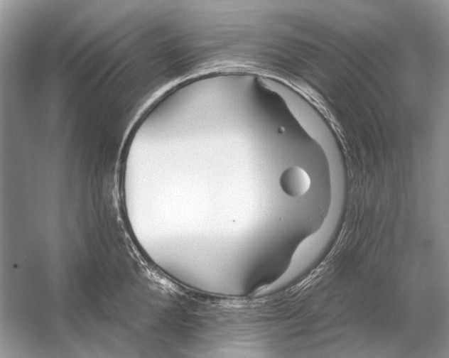 X0000053120904200508081248