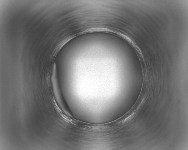 X0000053120905200508081248