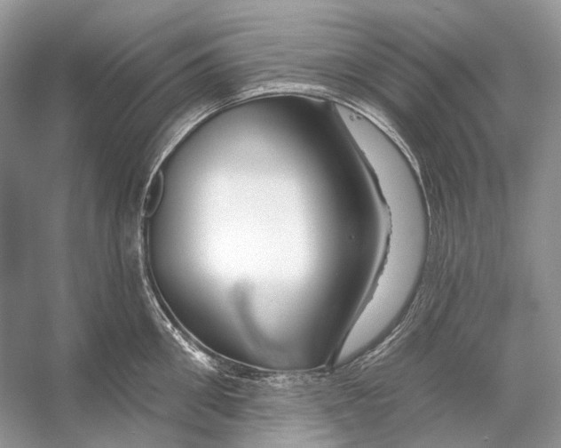 X0000053120906200508081248