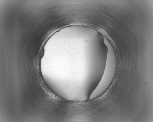 X0000053120908200508081248