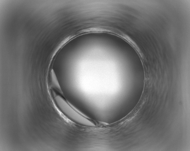 X0000053120909200508081248