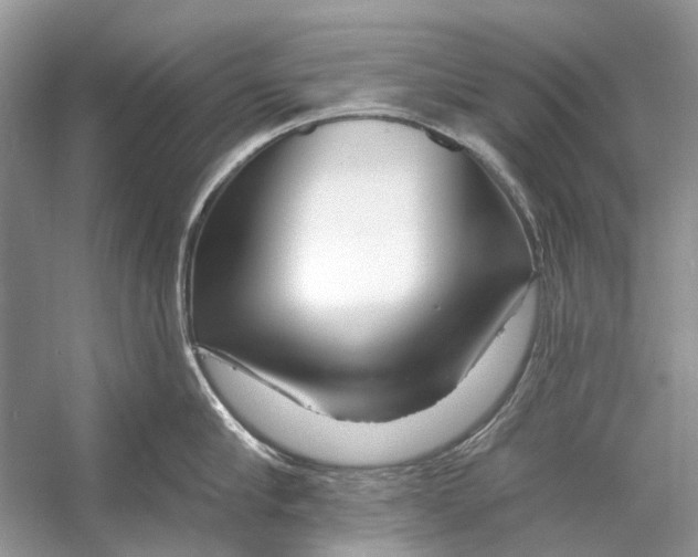 X0000053120910200508081248