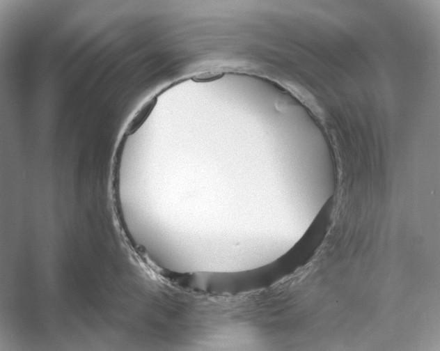 X0000053120912200508081248