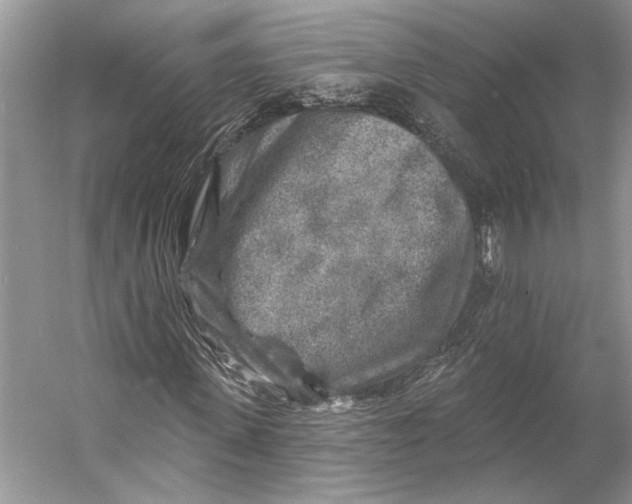 X0000053120915200508081247