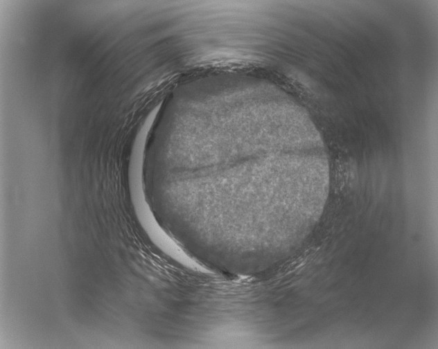 X0000053120917200508081247