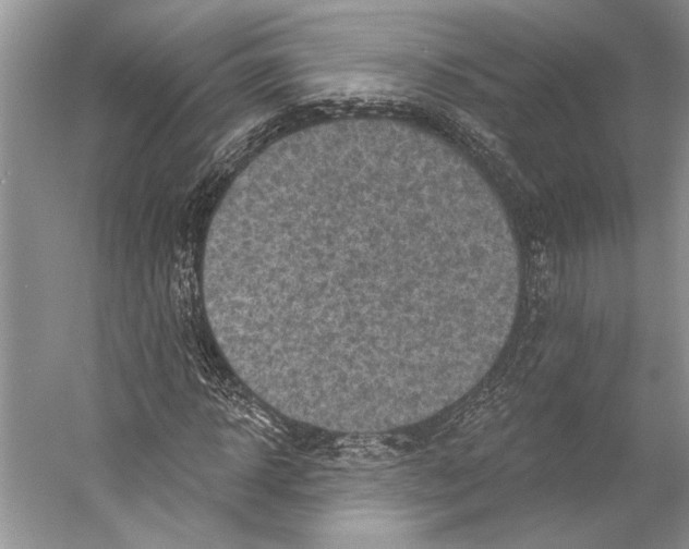 X0000053120918200508081247