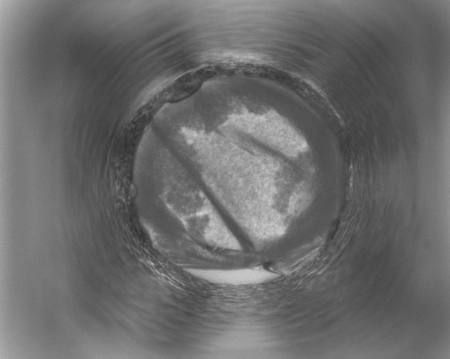 X0000053120919200508081247