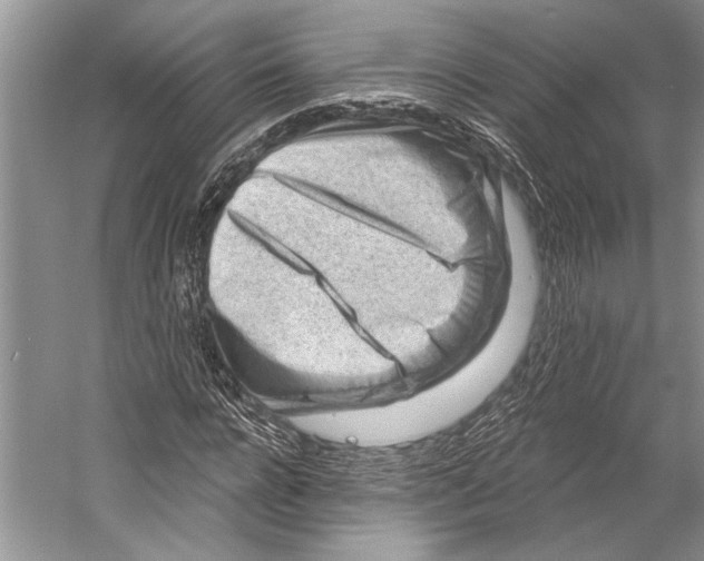 X0000053120920200508081247