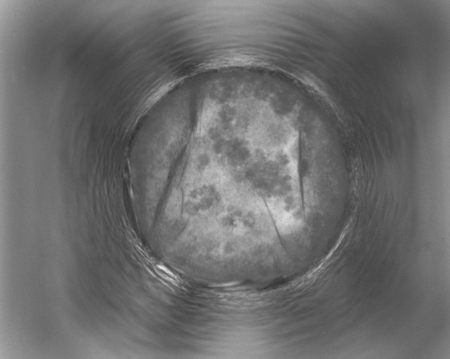 X0000053120921200508081248