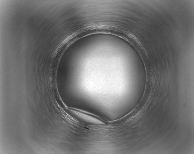 X0000053120922200508081248