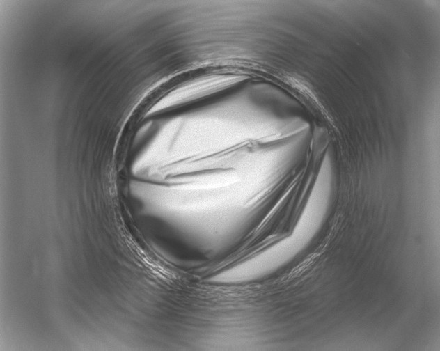 X0000053120924200508081248